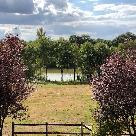 Chambres D'Hotes Domaine De La Jonquiere, Bouloire エクステリア 写真