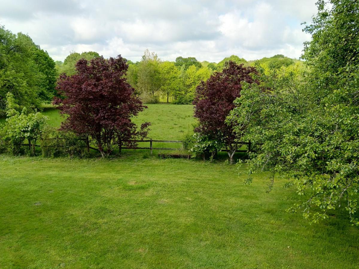 Chambres D'Hotes Domaine De La Jonquiere, Bouloire エクステリア 写真