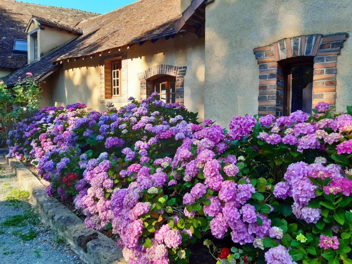 Chambres D'Hotes Domaine De La Jonquiere, Bouloire エクステリア 写真