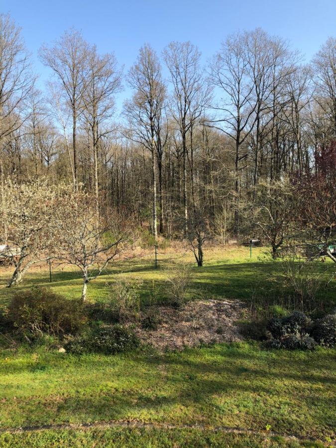 Chambres D'Hotes Domaine De La Jonquiere, Bouloire エクステリア 写真