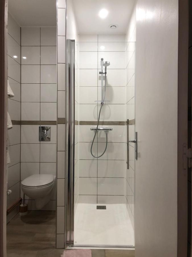 Chambres D'Hotes Domaine De La Jonquiere, Bouloire エクステリア 写真